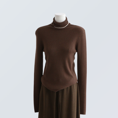 Thick Ribbed Wool Turtleneck Knit Top | 10 Colors