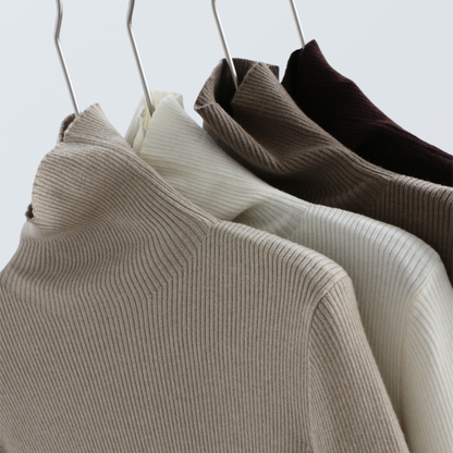 Thick Ribbed Wool Turtleneck Knit Top | 10 Colors