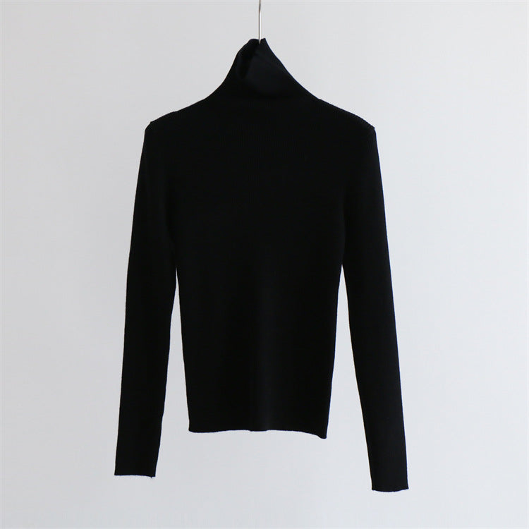Thick Ribbed Wool Turtleneck Knit Top | 9 Colors