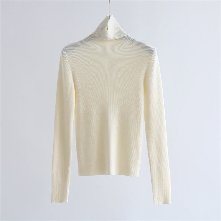 Thick Ribbed Wool Turtleneck Knit Top | 9 Colors